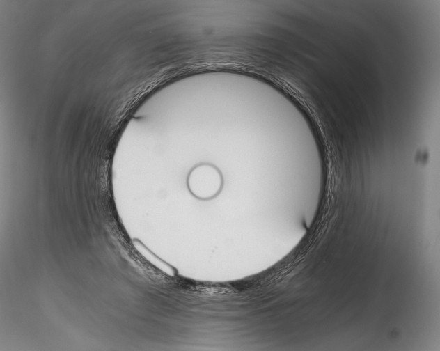 X0000114410401200911271531