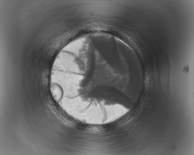 X0000114410402200911271531