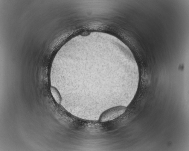 X0000114410403200911271531