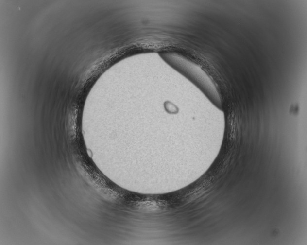 X0000114410404200911271531