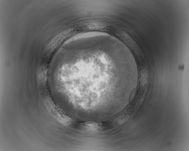 X0000114410405200911271531