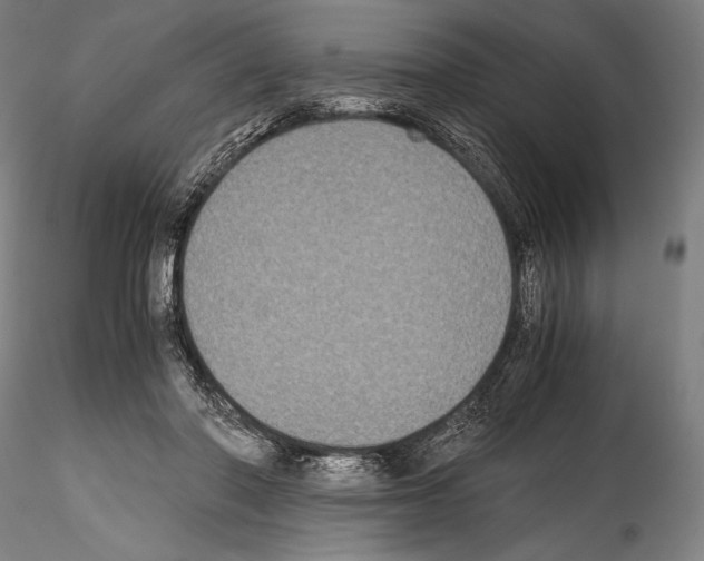 X0000114410406200911271531