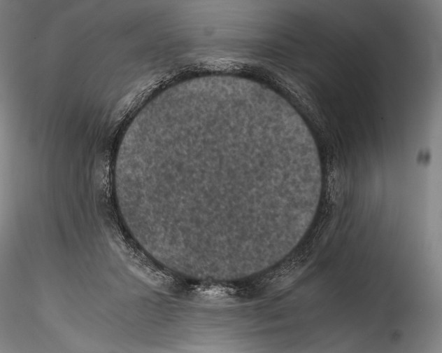 X0000114410407200911271531