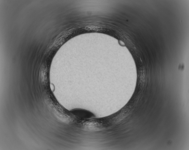 X0000114410408200911271531