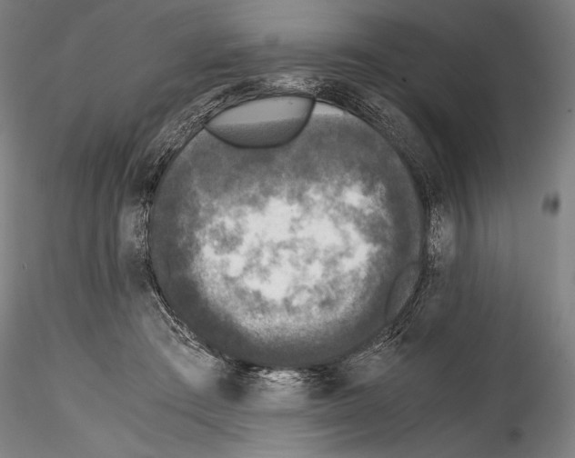 X0000114410409200911271531