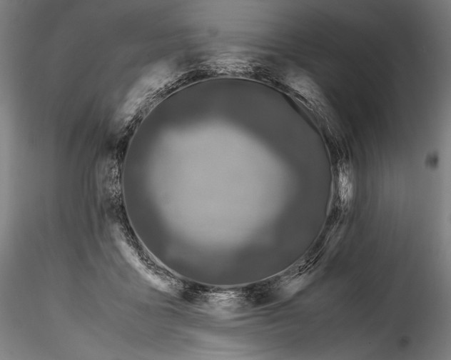 X0000114410411200911271531