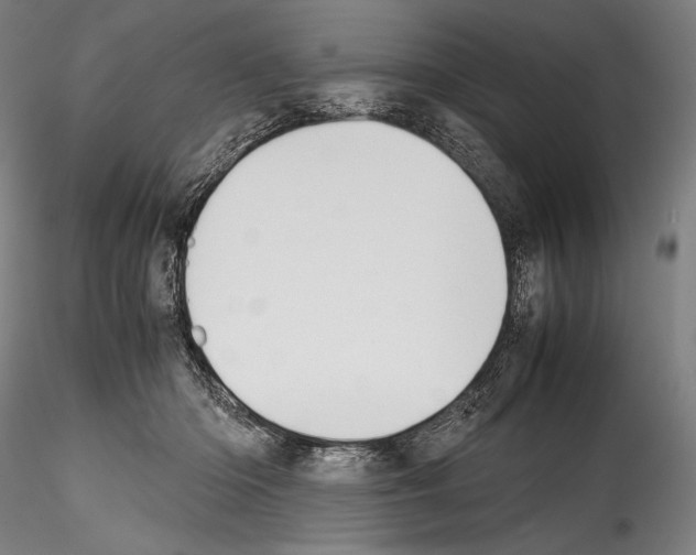 X0000114410414200911271531