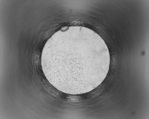 X0000114410417200911271530