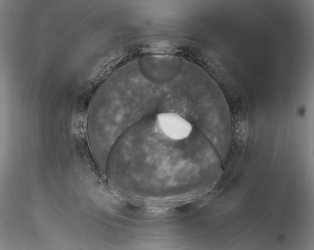 X0000114410419200911271530