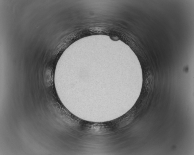 X0000114410420200911271530