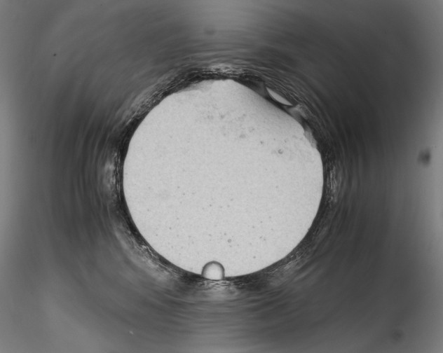 X0000114410424200911271530