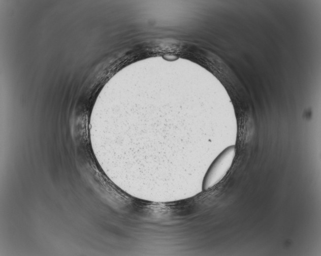 X0000114410425200911271530