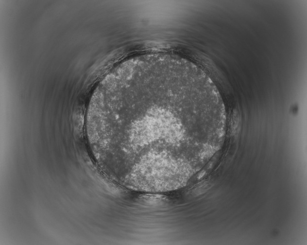 X0000114410427200911271530