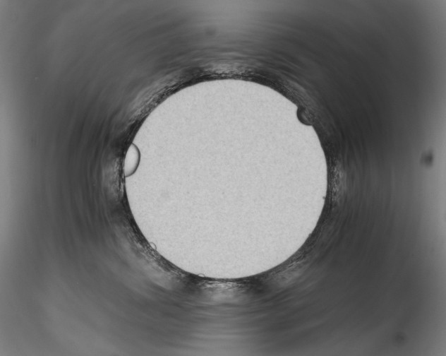 X0000114410428200911271530