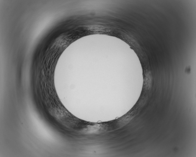 X0000114410430200911271530