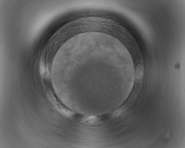 X0000114410431200911271530