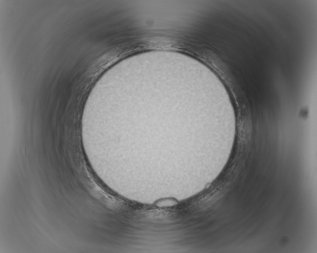 X0000114410433200911271530