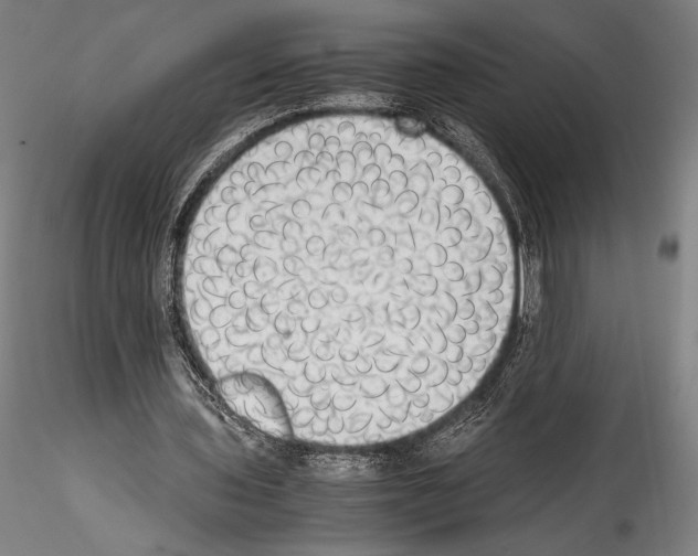 X0000114410435200911271530