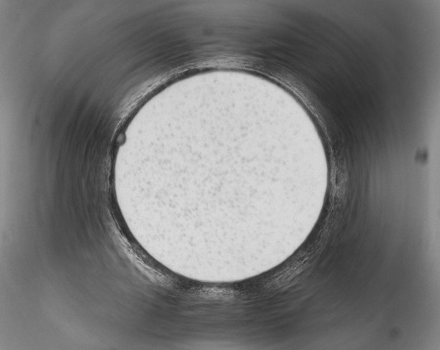 X0000114410437200911271530