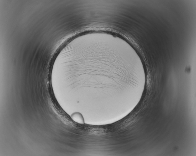 X0000114410438200911271530