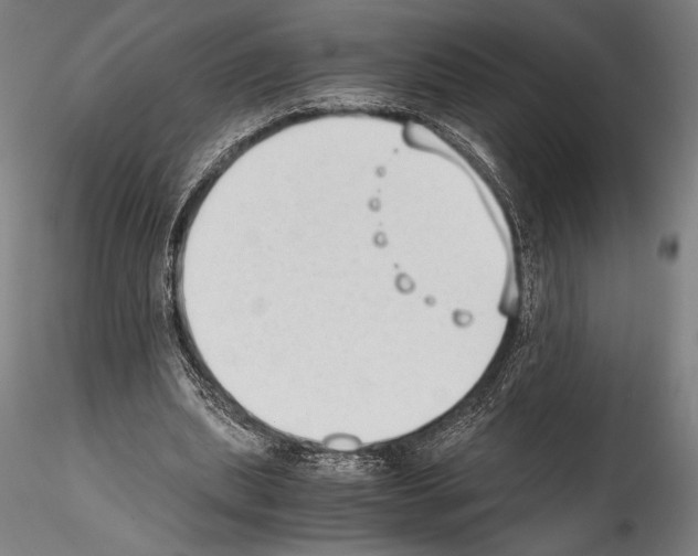 X0000114410439200911271530