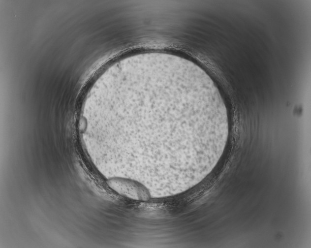 X0000114410440200911271530