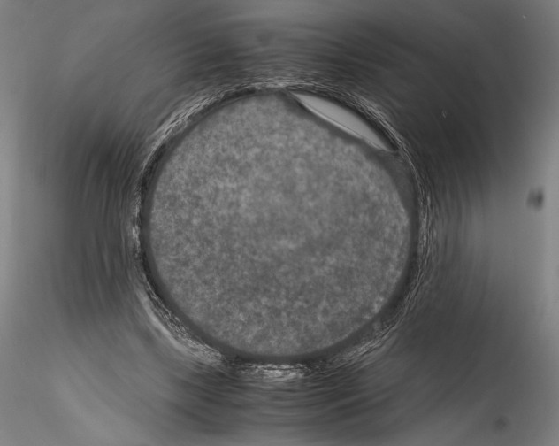 X0000114410443200911271530