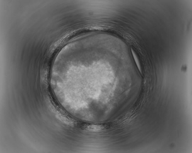 X0000114410444200911271530