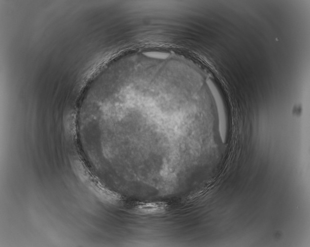 X0000114410447200911271530