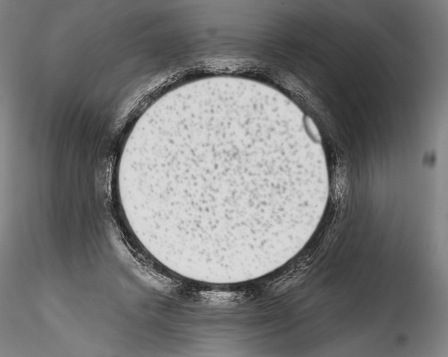 X0000114410448200911271530