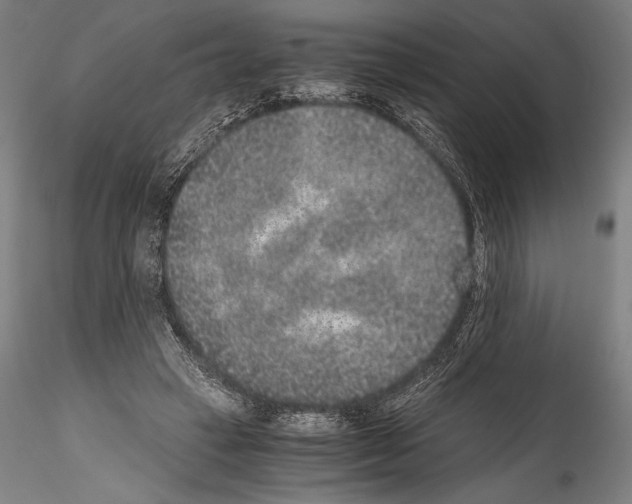 X0000114410449200911271530