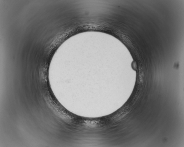 X0000114410450200911271530