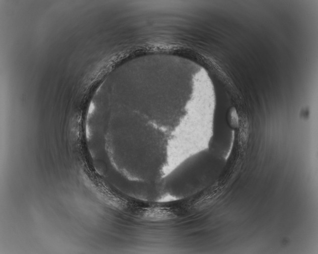 X0000114410451200911271530