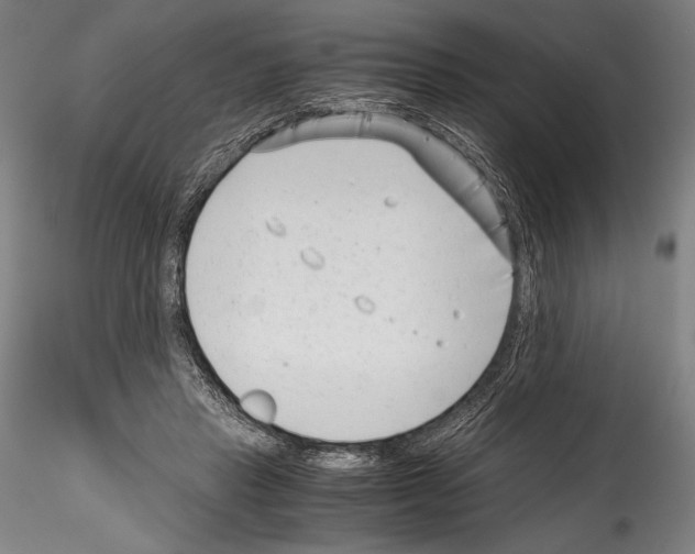 X0000114410453200911271530