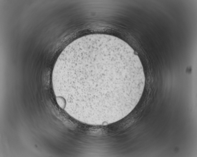 X0000114410454200911271530