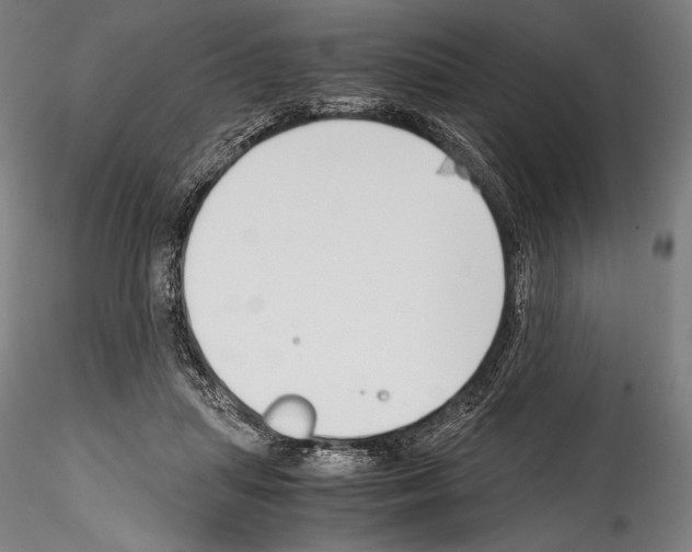 X0000114410455200911271530