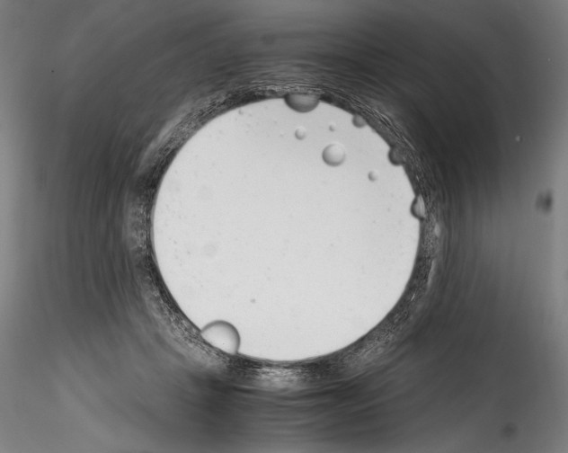 X0000114410457200911271530