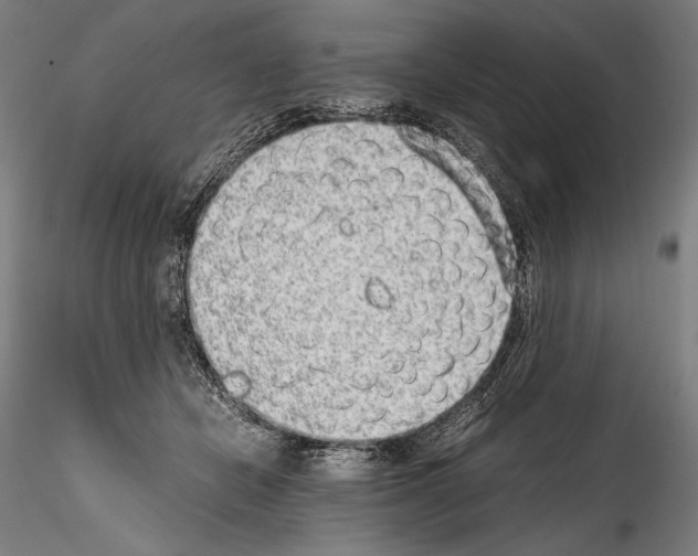 X0000114410462200911271530