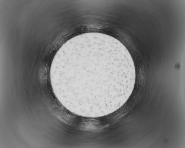 X0000114410463200911271530