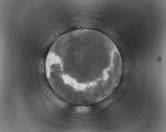 X0000114410465200911271530