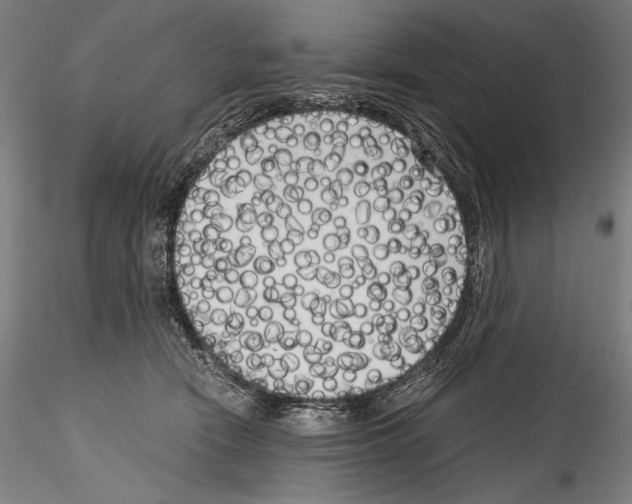 X0000114410466200911271530