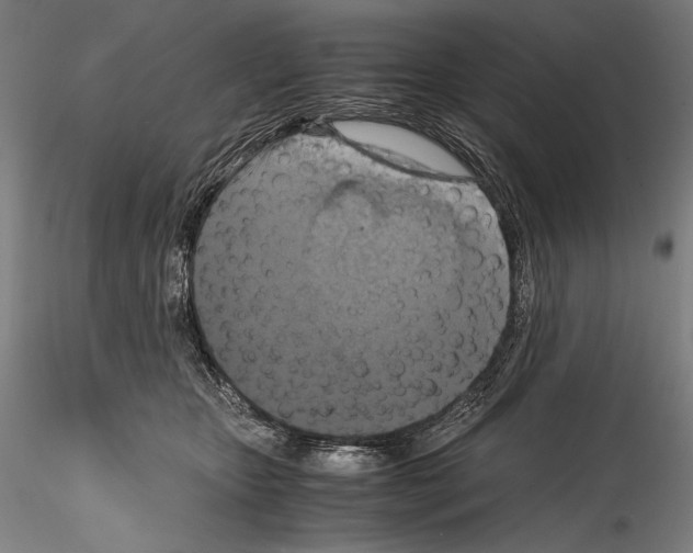 X0000114410467200911271530