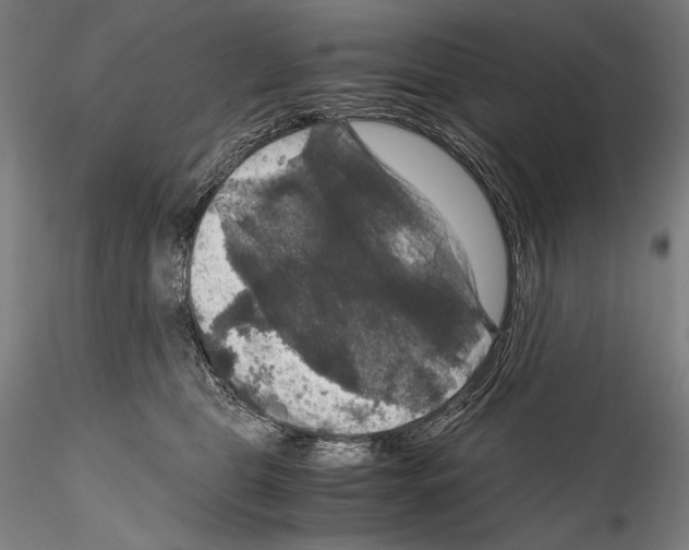 X0000114410469200911271530