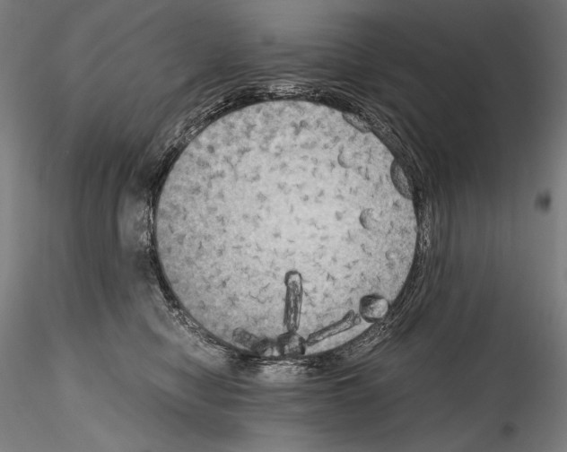 X0000114410470200911271530