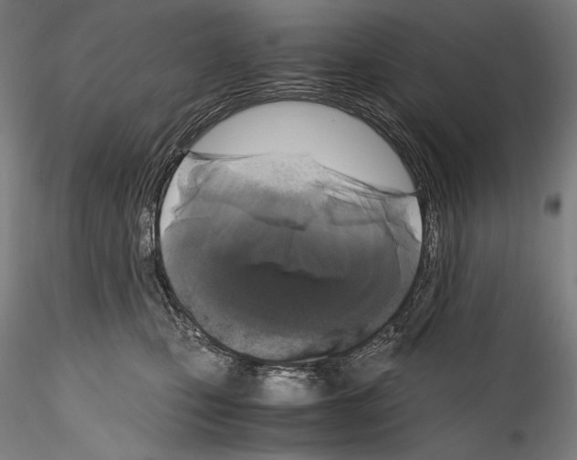 X0000114410471200911271530