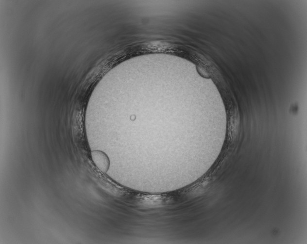 X0000114410473200911271530