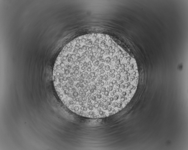 X0000114410474200911271530