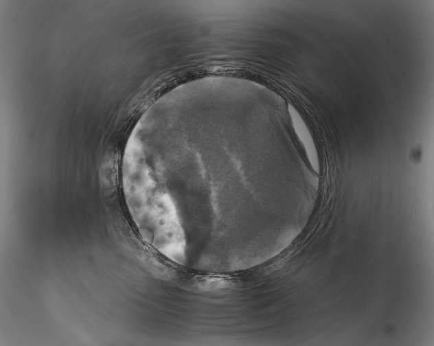 X0000114410475200911271530