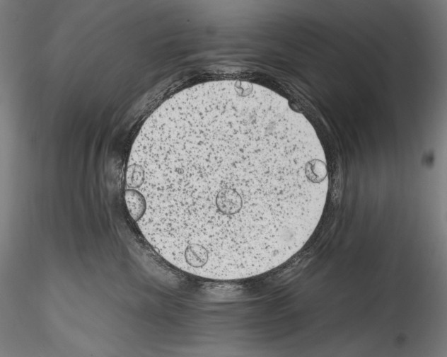 X0000114410476200911271530