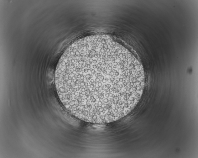 X0000114410478200911271530